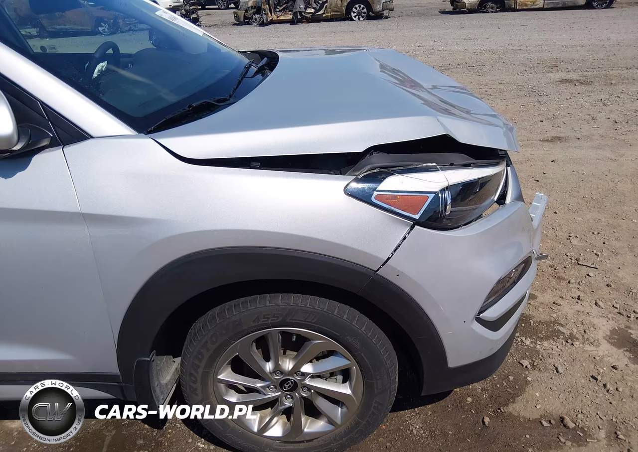 2017 Hyundai Tucson Se VIN:KM8J33A46HU407514 - 20