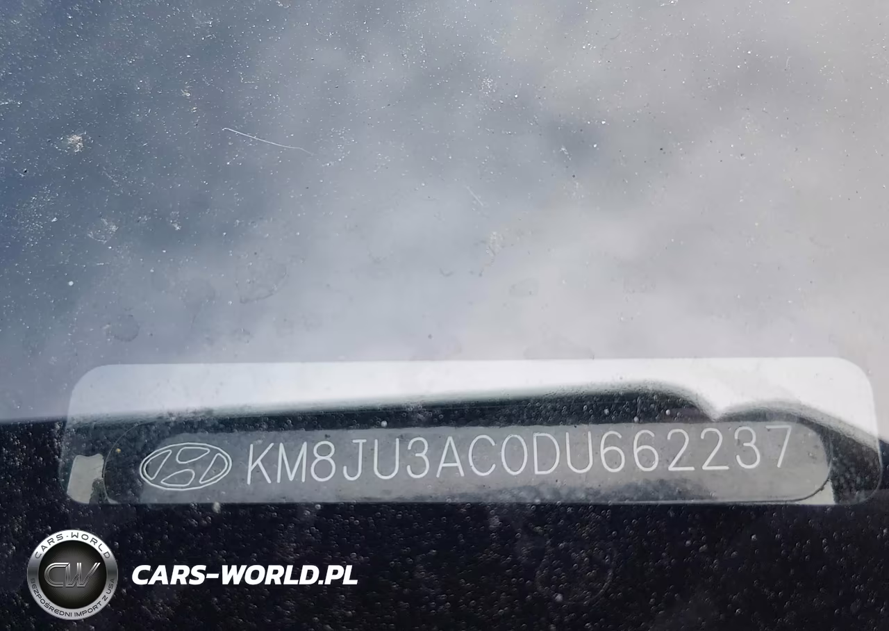 2013 Hyundai Tucson Limited VIN:KM8JU3AC0DU662237 - 9