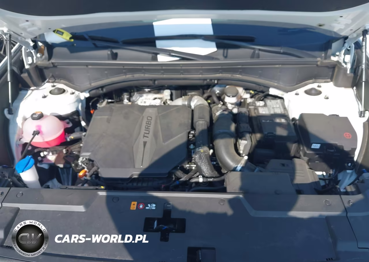 2025 Hyundai Santa Fe Xrt VIN:5NMP3DGL4SH131061 - 10