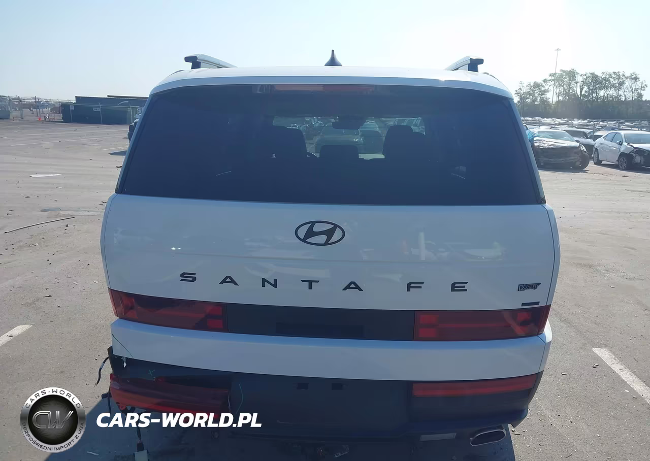 2025 Hyundai Santa Fe Xrt VIN:5NMP3DGL4SH131061 - 17