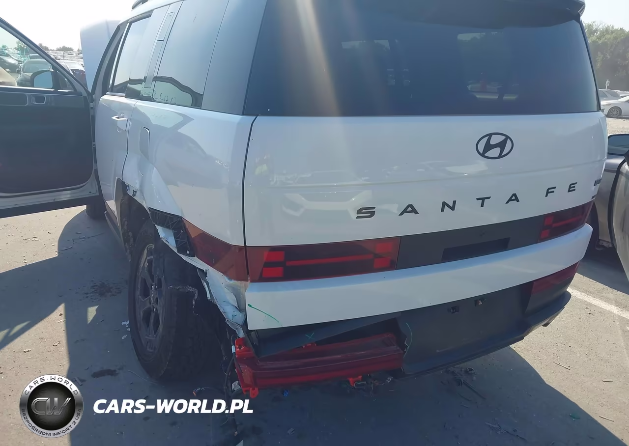 2025 Hyundai Santa Fe Xrt VIN:5NMP3DGL4SH131061 - 6