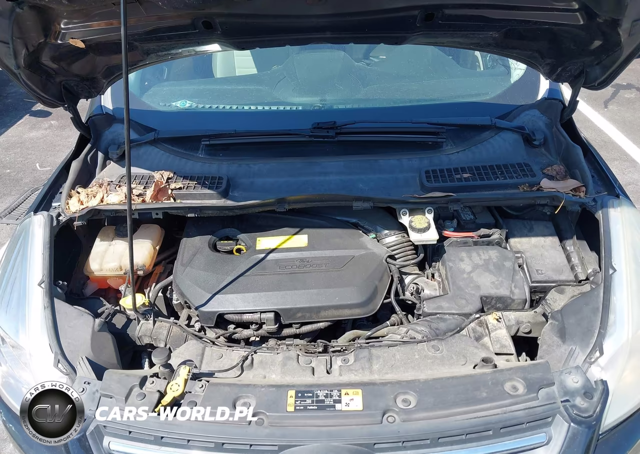 2015 Ford Escape Se VIN:1FMCU0GX2FUB33537 - 10