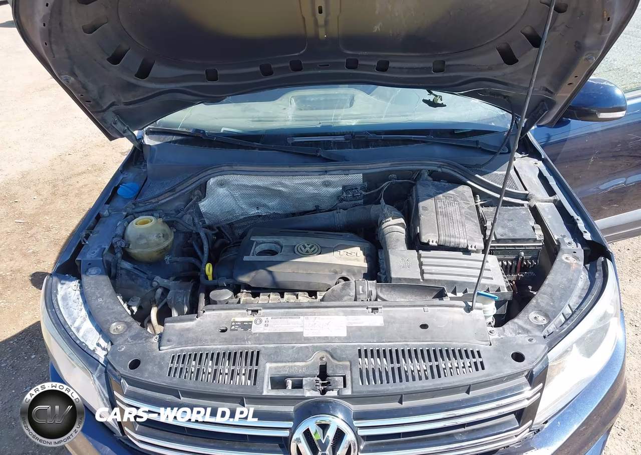 2014 Volkswagen Tiguan S VIN:WVGAV3AX7EW501969 - 10