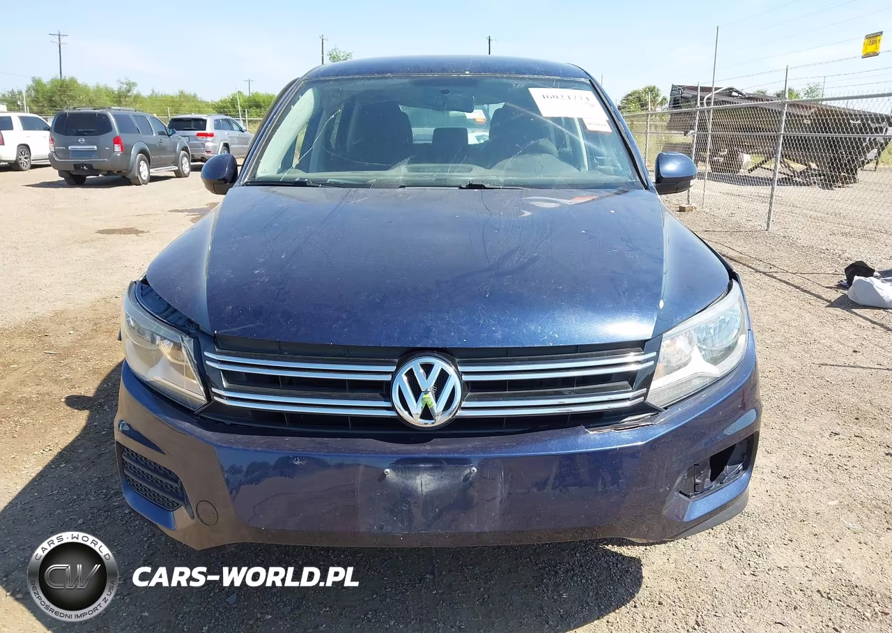 2014 Volkswagen Tiguan S VIN:WVGAV3AX7EW501969 - 12