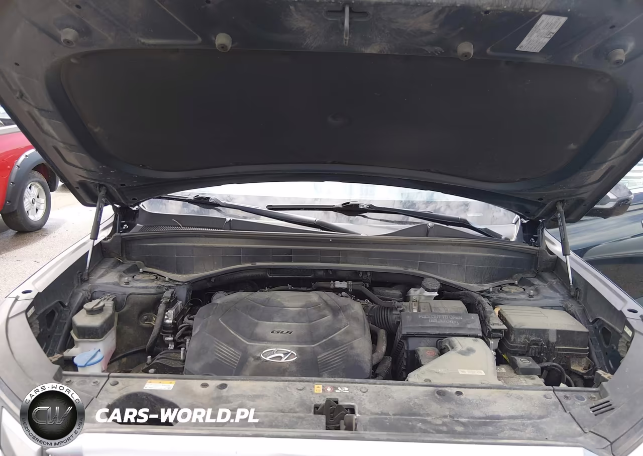 2023 Hyundai Palisade Calligraphy VIN:KM8R7DGE6PU504949 - 10