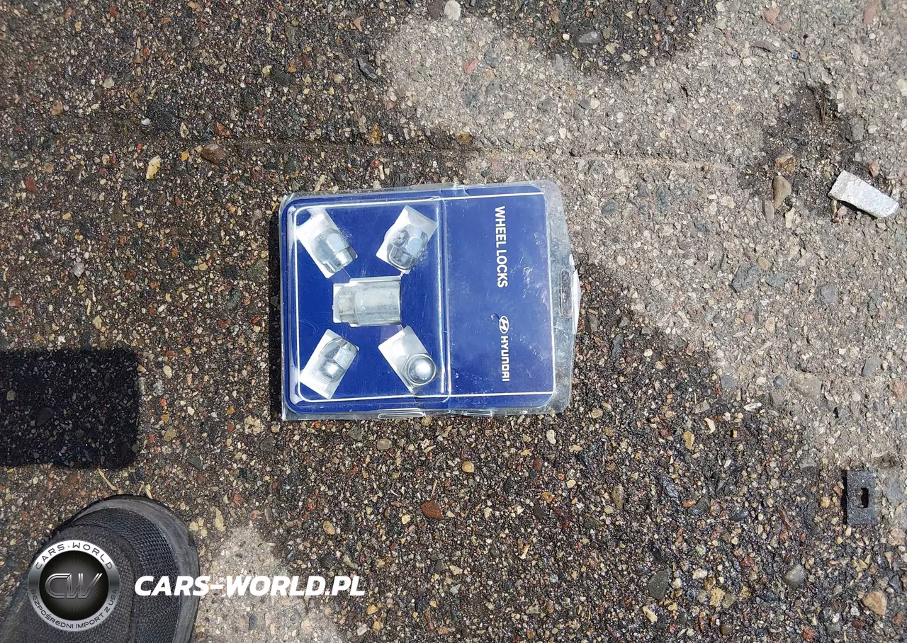 2023 Hyundai Palisade Calligraphy VIN:KM8R7DGE6PU504949 - 12