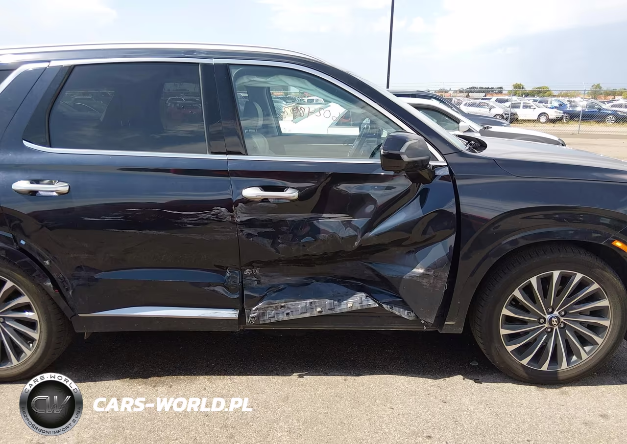 2023 Hyundai Palisade Calligraphy VIN:KM8R7DGE6PU504949 - 6