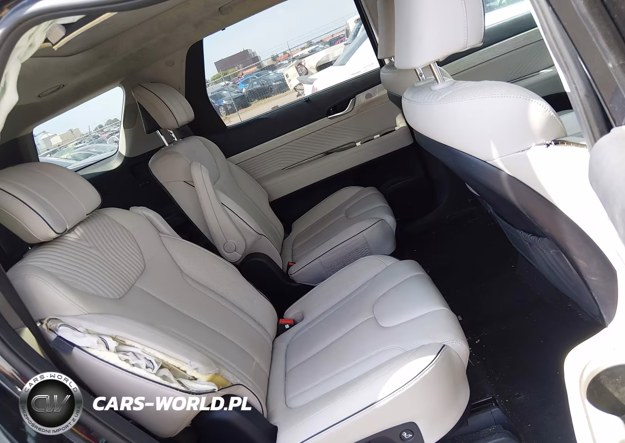 2023 Hyundai Palisade Calligraphy VIN:KM8R7DGE6PU504949 - 8