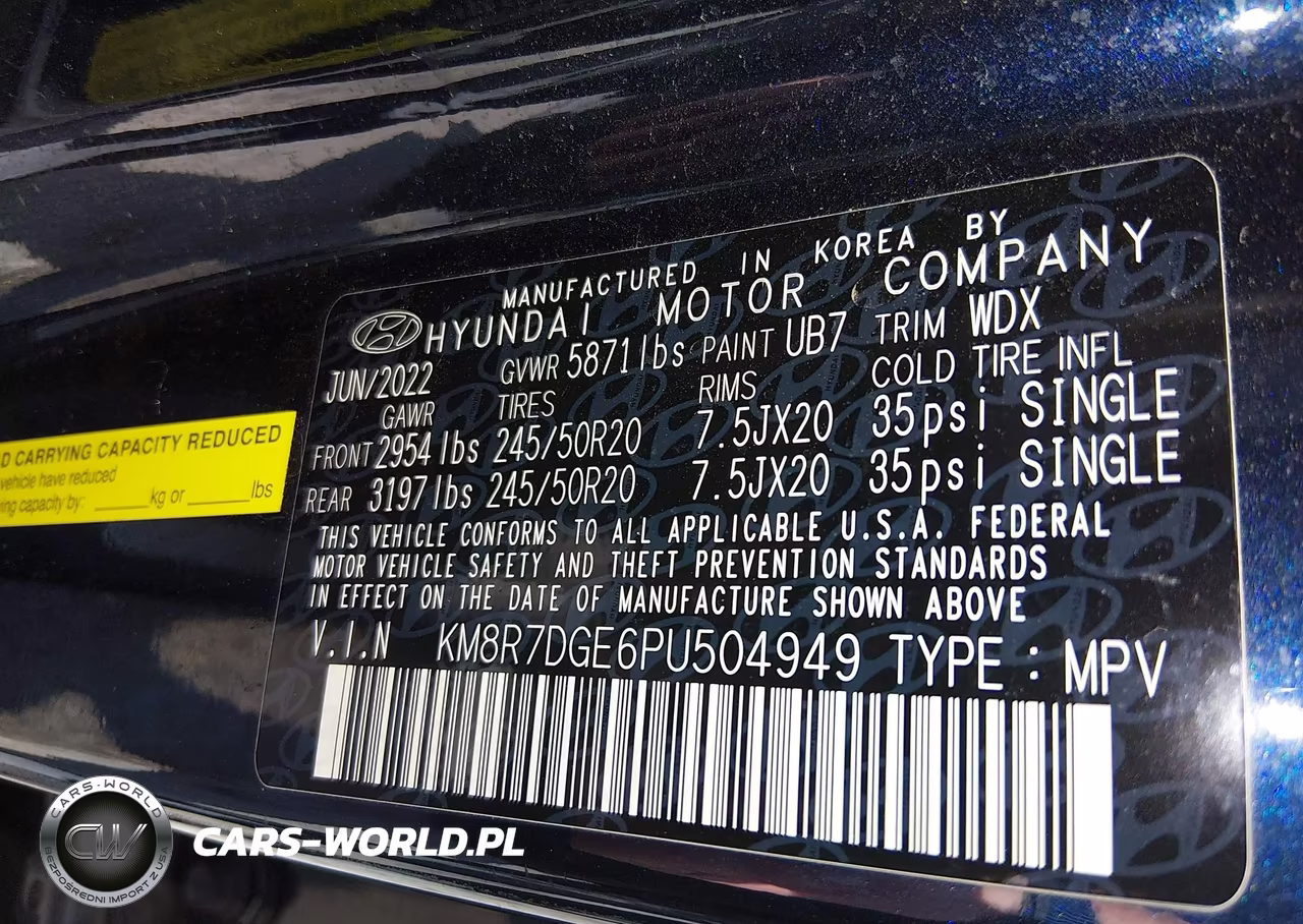 2023 Hyundai Palisade Calligraphy VIN:KM8R7DGE6PU504949 - 9