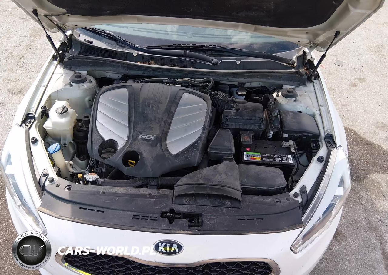 2015 Kia Cadenza Premium VIN:KNALN4D77F5197478 - 10