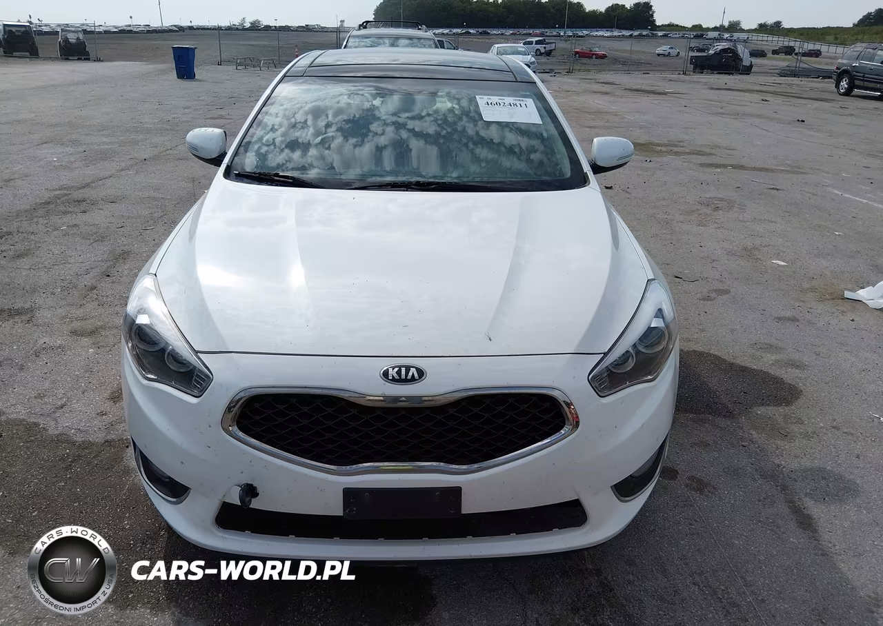 2015 Kia Cadenza Premium VIN:KNALN4D77F5197478 - 13