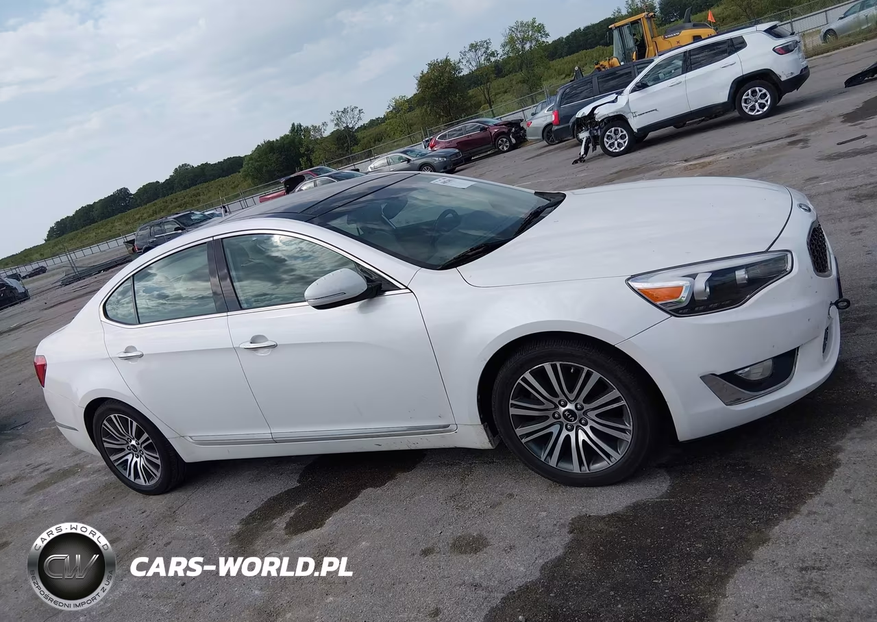 2015 Kia Cadenza Premium VIN:KNALN4D77F5197478 - 14
