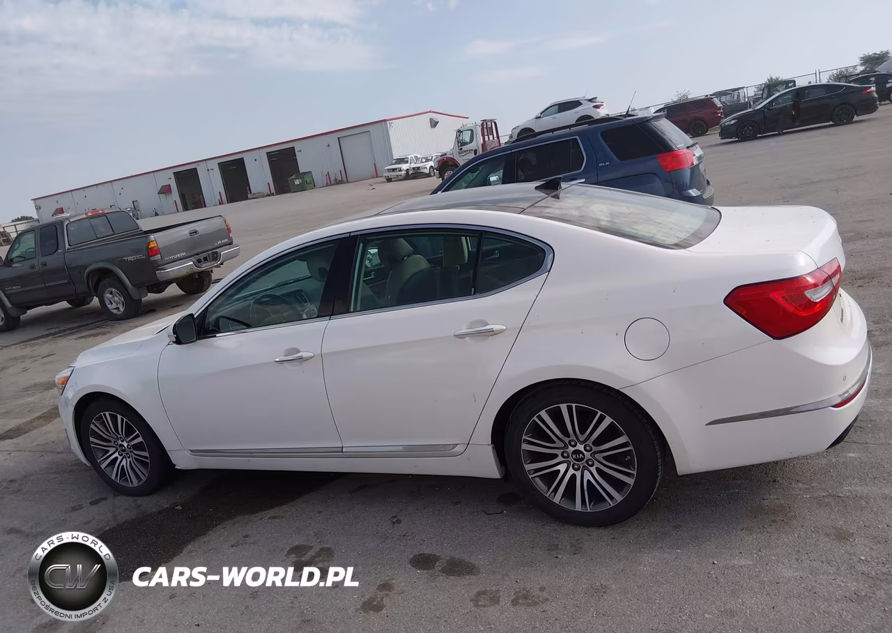 2015 Kia Cadenza Premium VIN:KNALN4D77F5197478 - 15