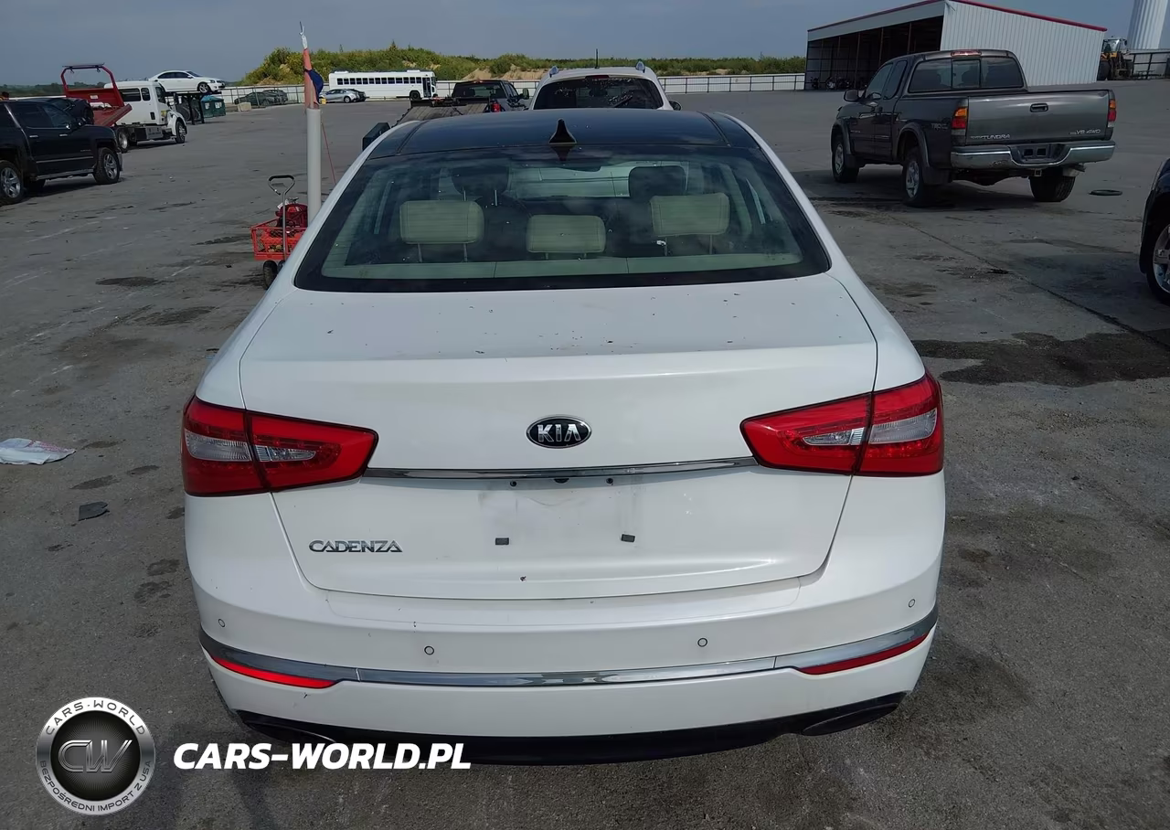 2015 Kia Cadenza Premium VIN:KNALN4D77F5197478 - 17