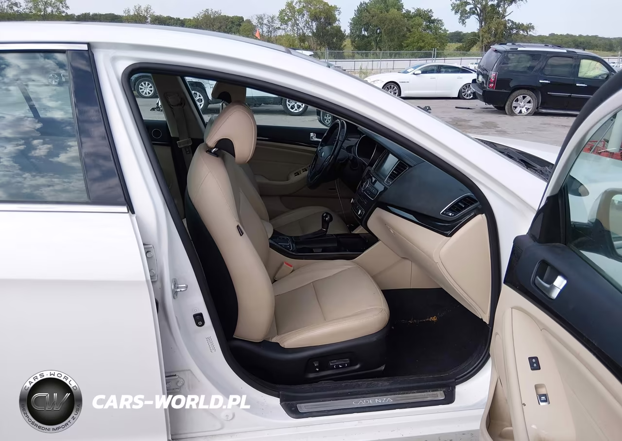 2015 Kia Cadenza Premium VIN:KNALN4D77F5197478 - 5
