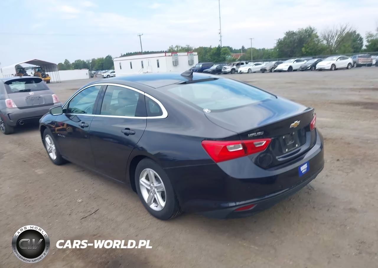 2023 Chevrolet Malibu Fwd Ls VIN:1G1ZB5ST0PF114490 - 3