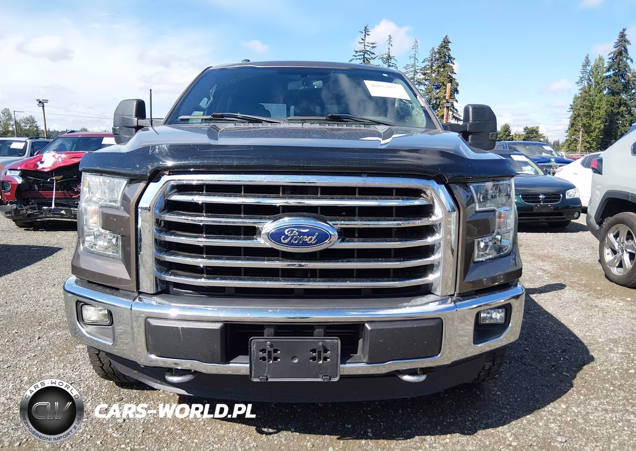2015 Ford F-150 Xlt VIN:1FTEW1EG1FKE99873 - 12