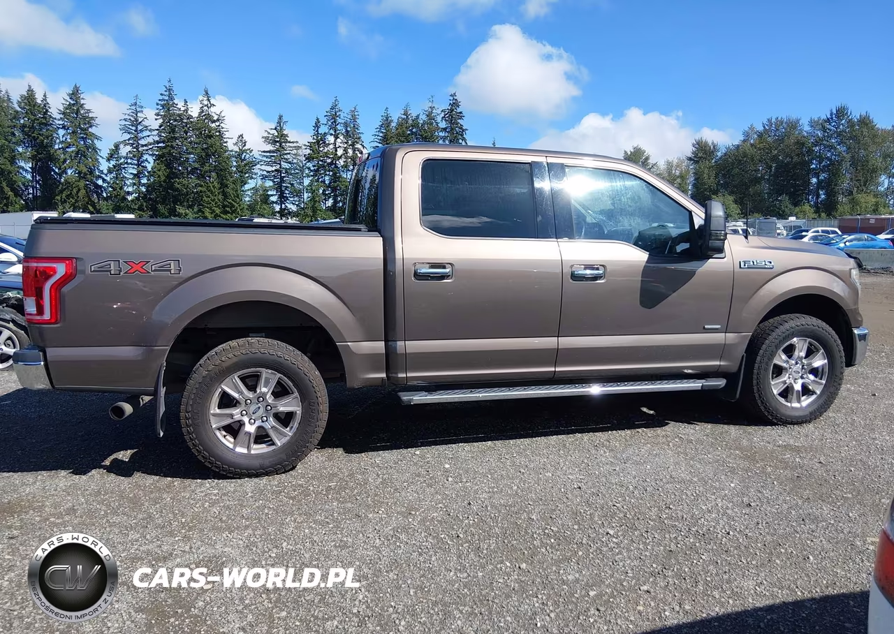2015 Ford F-150 Xlt VIN:1FTEW1EG1FKE99873 - 13