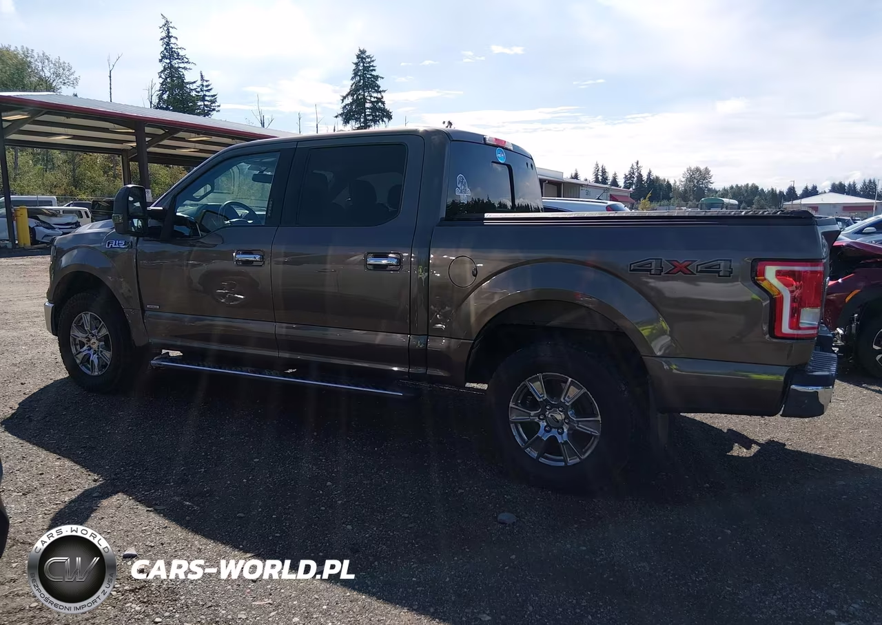 2015 Ford F-150 Xlt VIN:1FTEW1EG1FKE99873 - 14