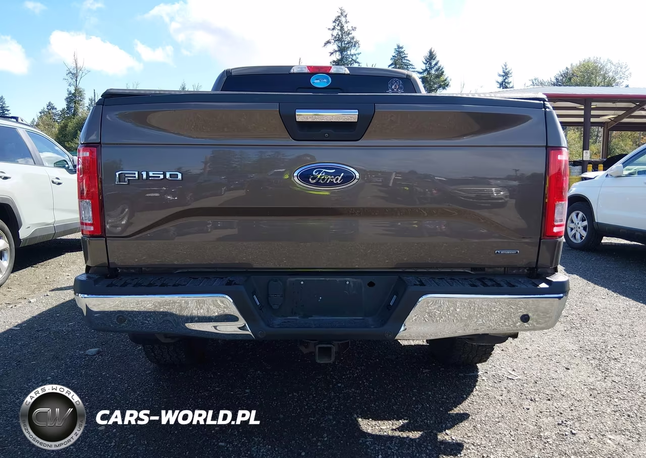 2015 Ford F-150 Xlt VIN:1FTEW1EG1FKE99873 - 16