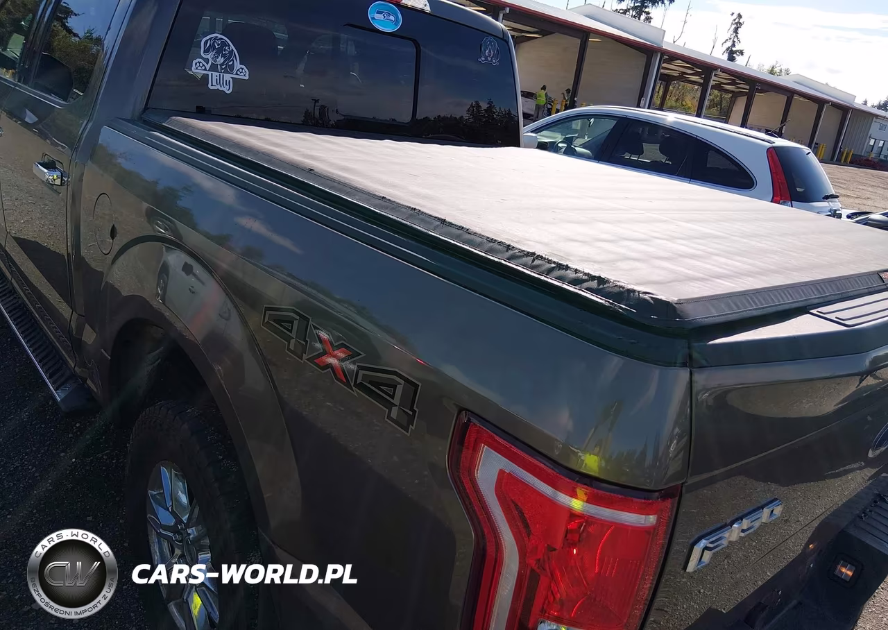 2015 Ford F-150 Xlt VIN:1FTEW1EG1FKE99873 - 18