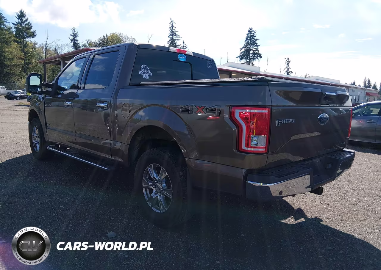 2015 Ford F-150 Xlt VIN:1FTEW1EG1FKE99873 - 3