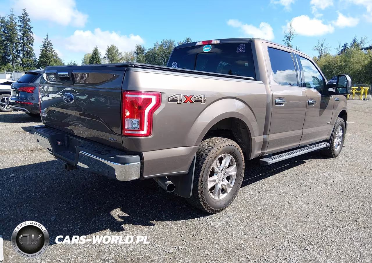 2015 Ford F-150 Xlt VIN:1FTEW1EG1FKE99873 - 4