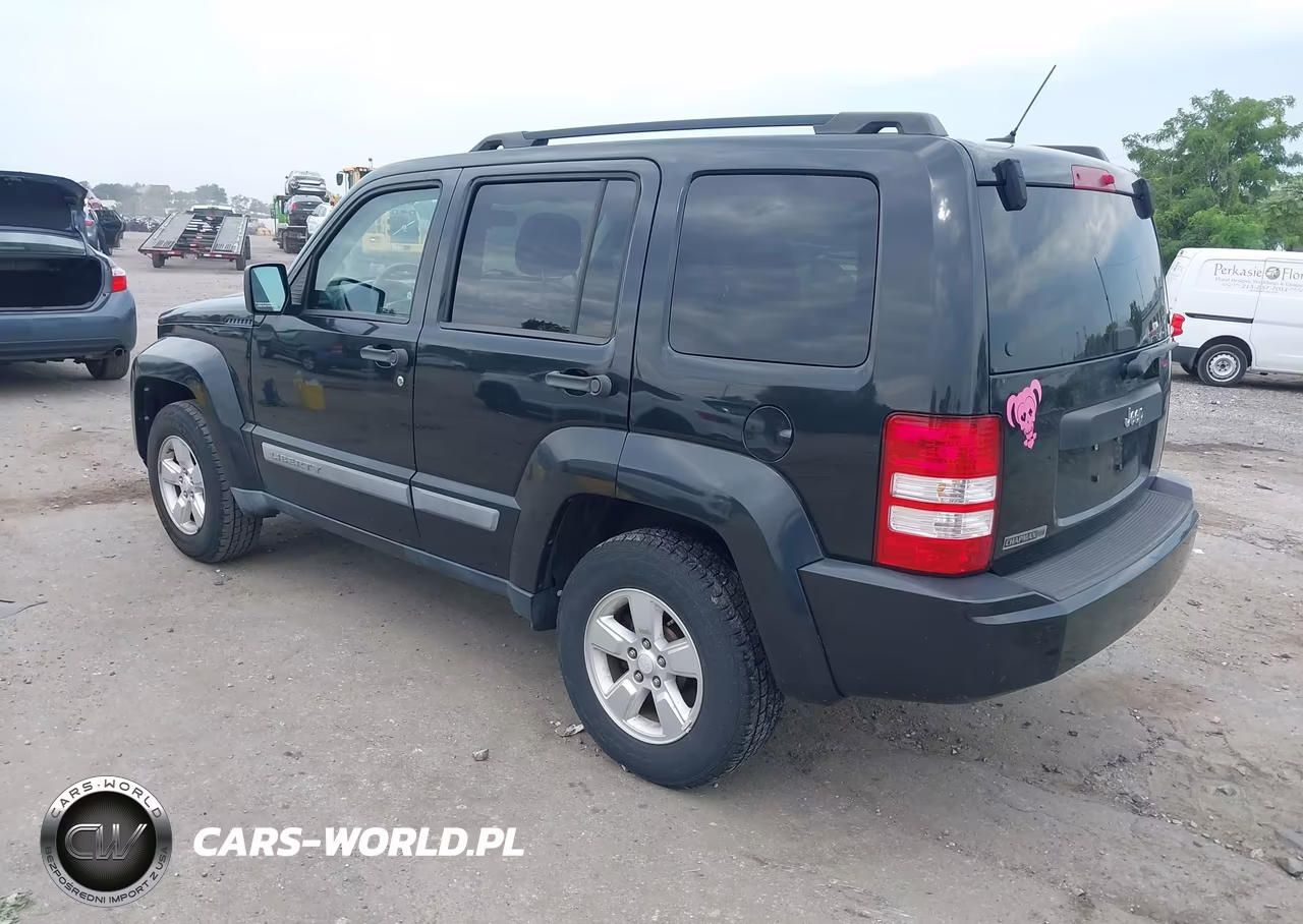 2010 Jeep Liberty Sport VIN:1J4PP2GK8AW150749 - 3
