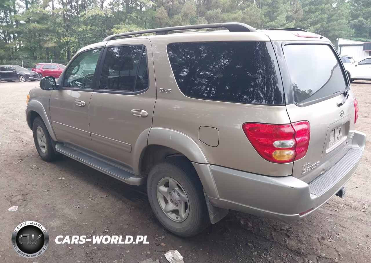 2002 Toyota Sequoia Sr5 V8 VIN:5TDBT44A92S134919 - 3