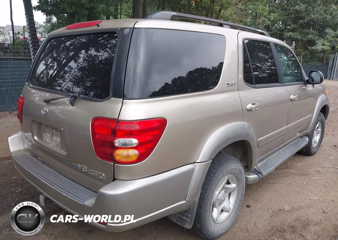 2002 Toyota Sequoia Sr5 V8 VIN:5TDBT44A92S134919 - 4