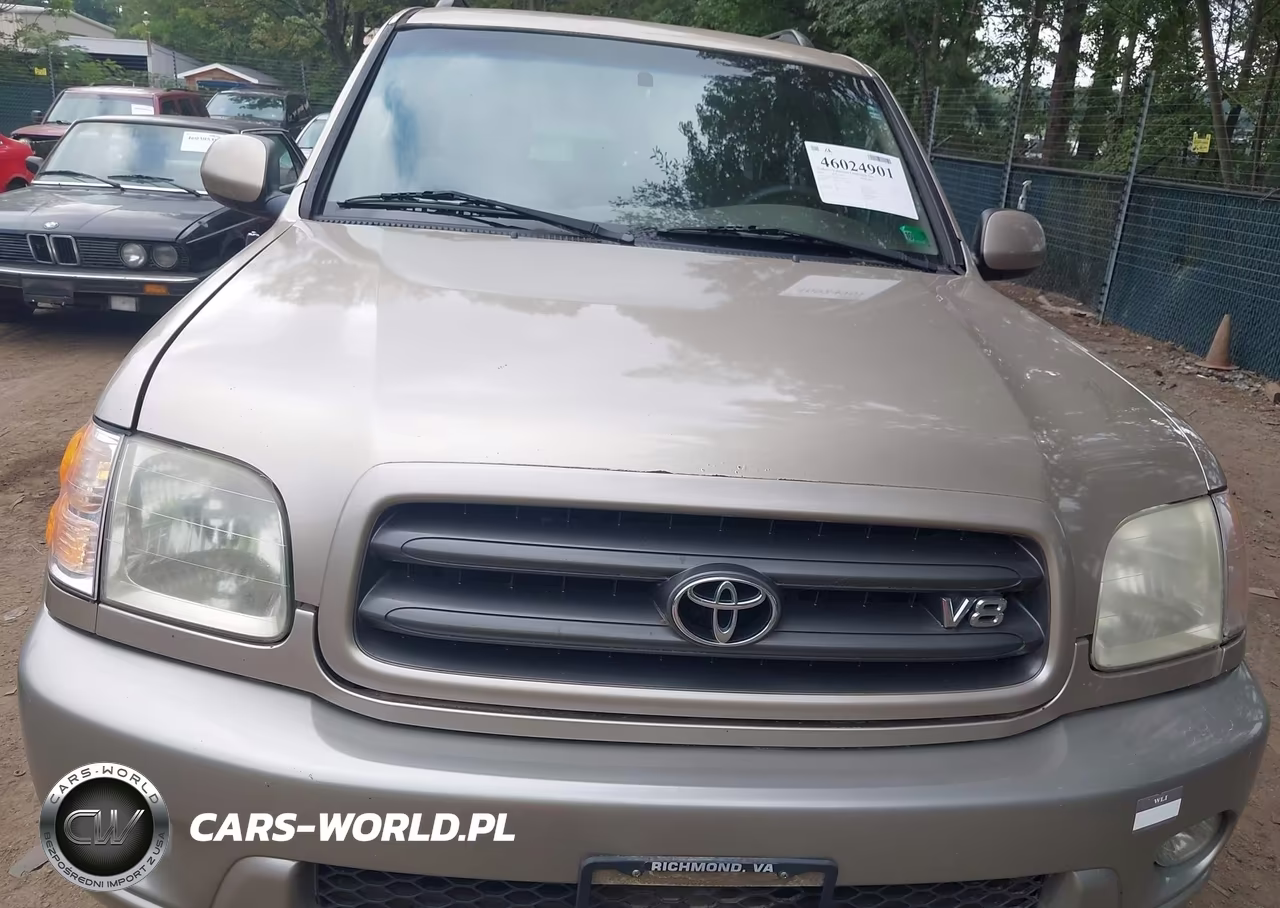 2002 Toyota Sequoia Sr5 V8 VIN:5TDBT44A92S134919 - 6