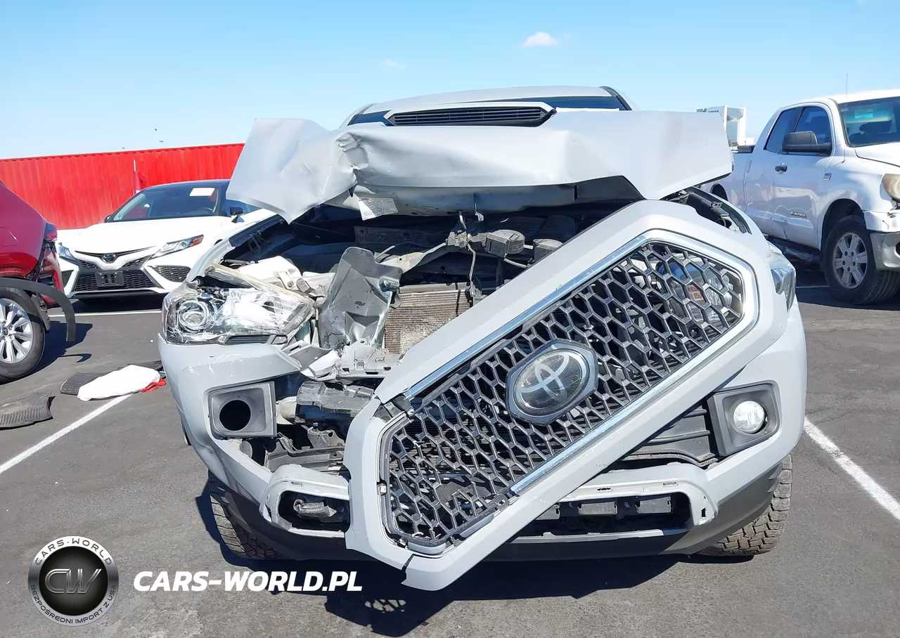 2019 Toyota Tacoma Trd Sport VIN:3TMAZ5CN7KM114205 - 12