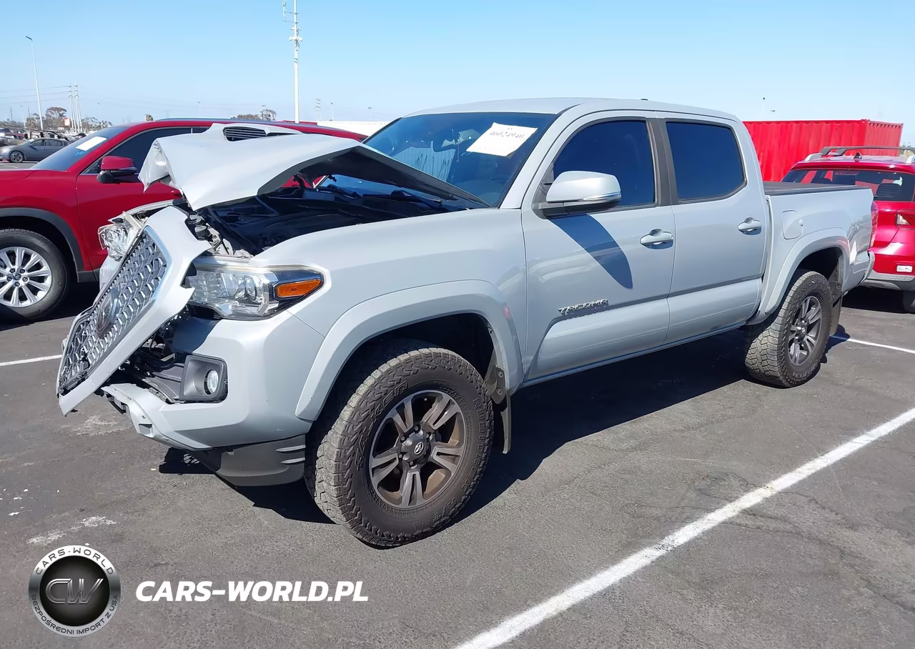 2019 Toyota Tacoma Trd Sport VIN:3TMAZ5CN7KM114205 - 2