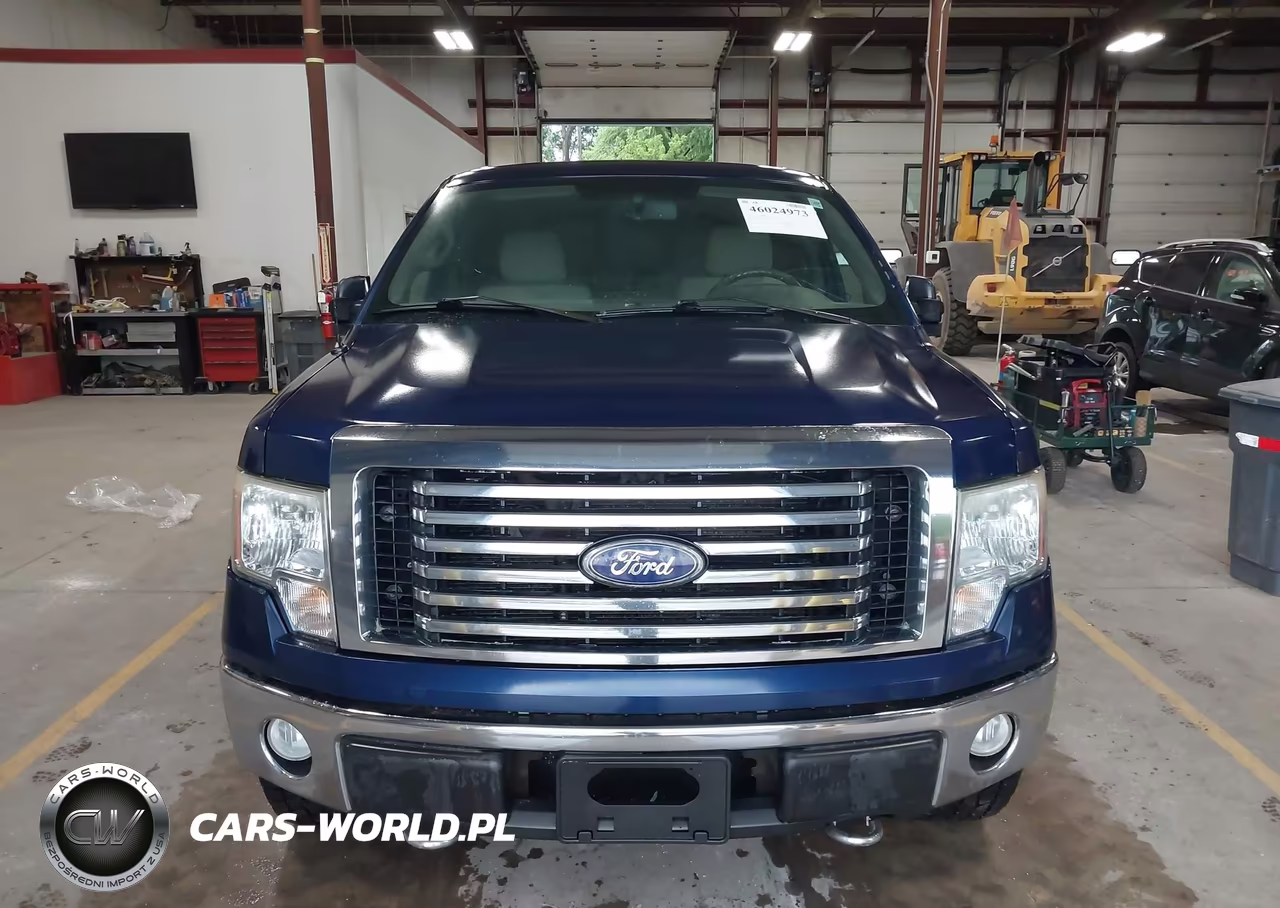 2010 Ford F-150 Fx4-Harley-Davidson-King Ranch-Lariat-Platinum-Xl-Xlt VIN:1FTFW1EV1AFB23548 - 13