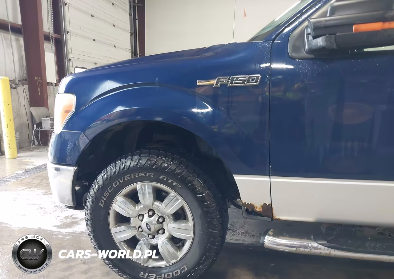 2010 Ford F-150 Fx4-Harley-Davidson-King Ranch-Lariat-Platinum-Xl-Xlt VIN:1FTFW1EV1AFB23548 - 18