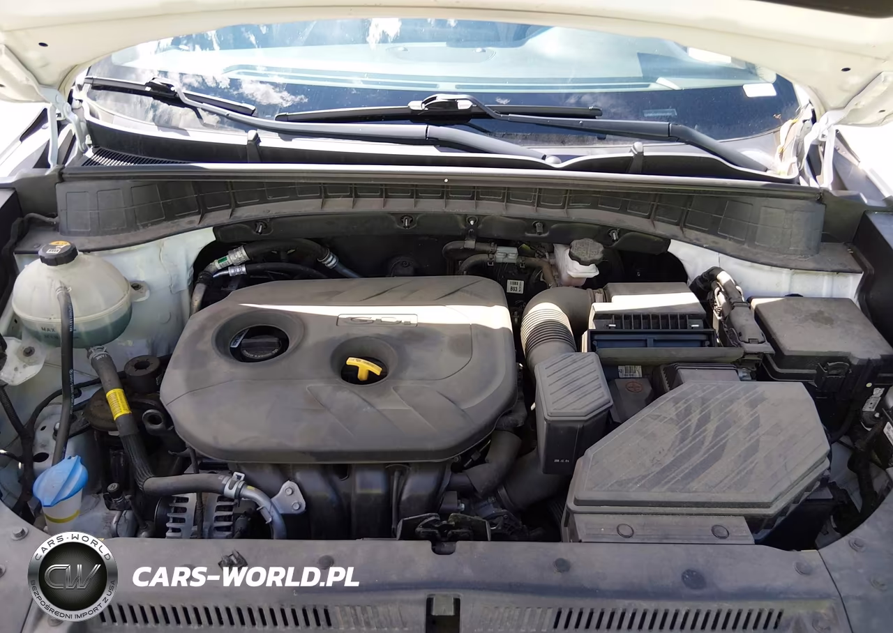2019 Hyundai Tucson Value VIN:KM8J33A42KU913817 - 10