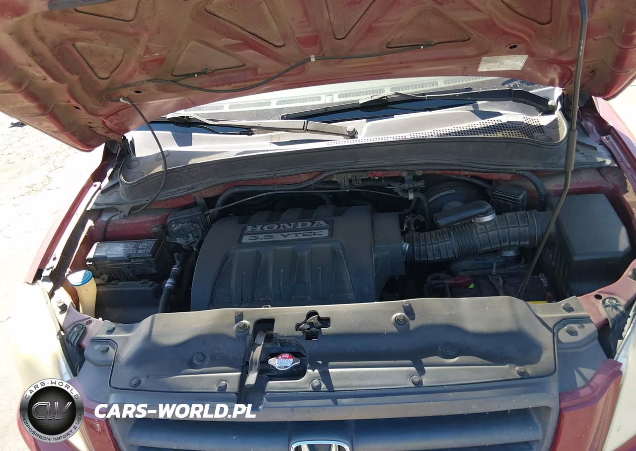 2005 Honda Pilot Ex-L VIN:2HKYF18525H515132 - 10