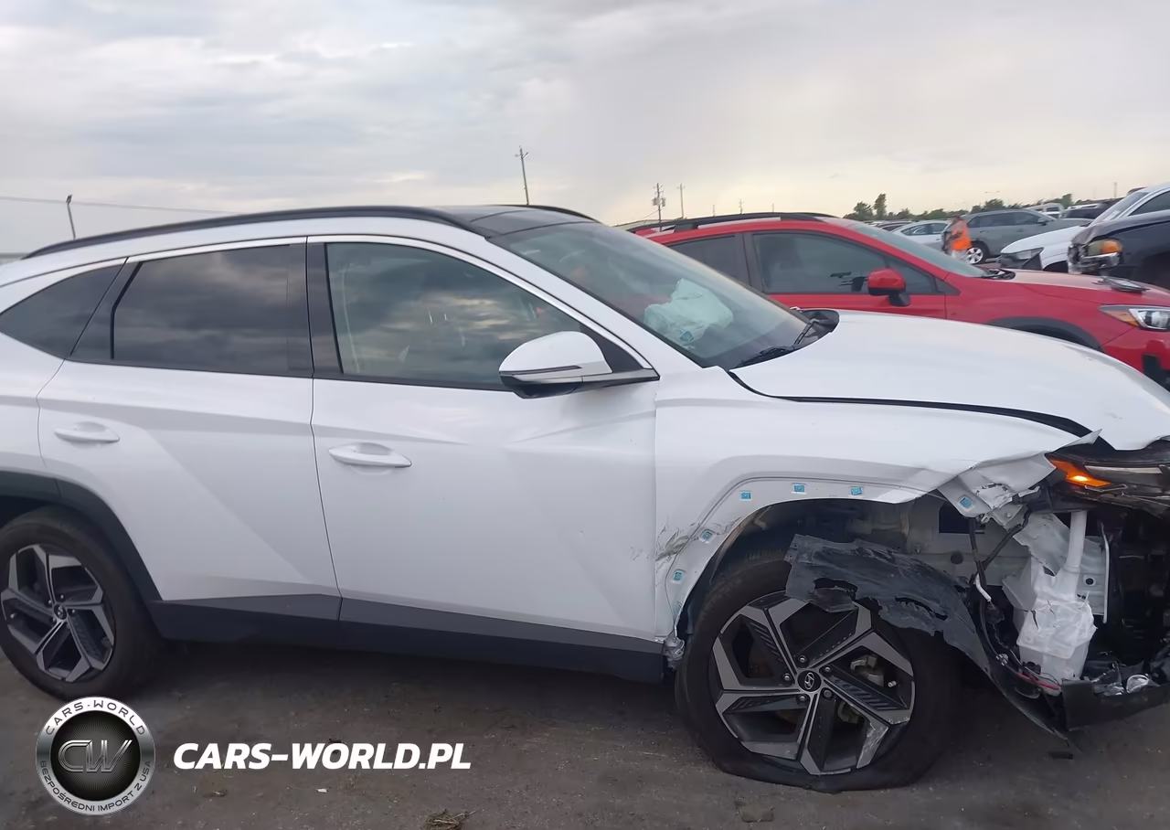 2024 Hyundai Tucson Hybrid Limited VIN:KM8JECD16RU206094 - 14