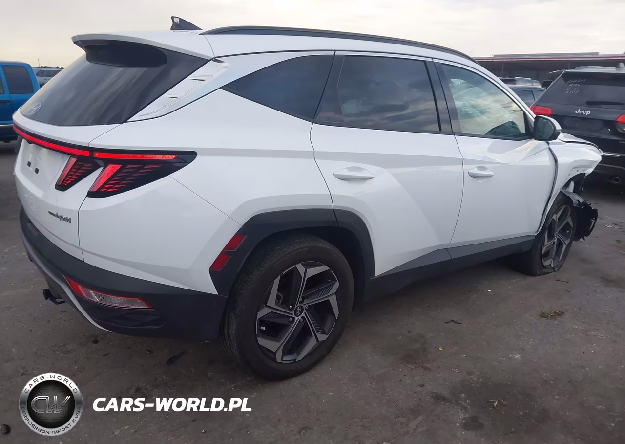 2024 Hyundai Tucson Hybrid Limited VIN:KM8JECD16RU206094 - 4