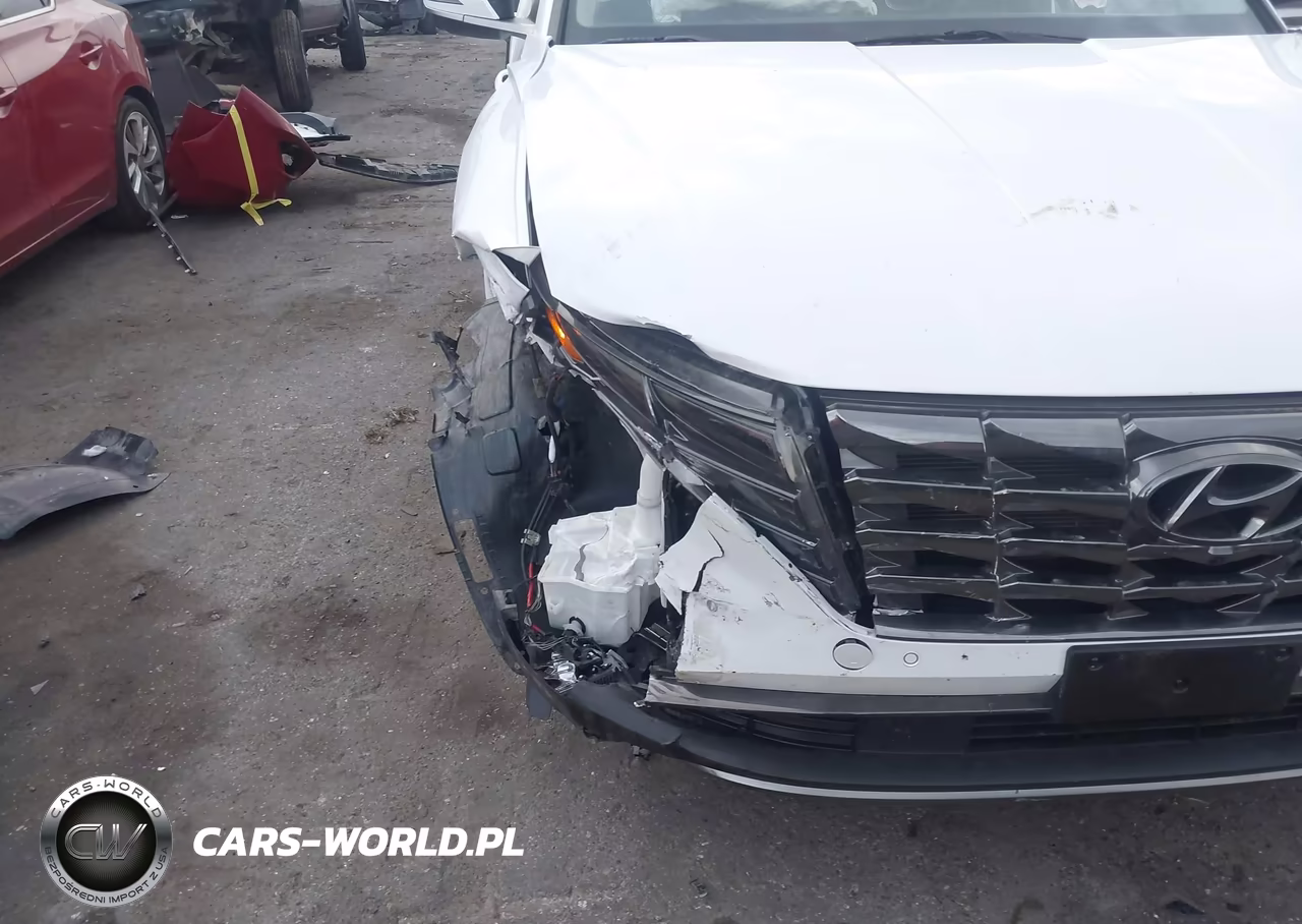 2024 Hyundai Tucson Hybrid Limited VIN:KM8JECD16RU206094 - 6