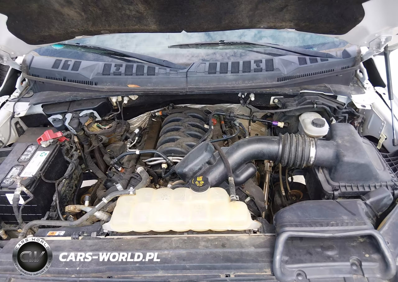 2018 Ford F150 Supercrew VIN:1FTFW1E53JFC03384 - 10