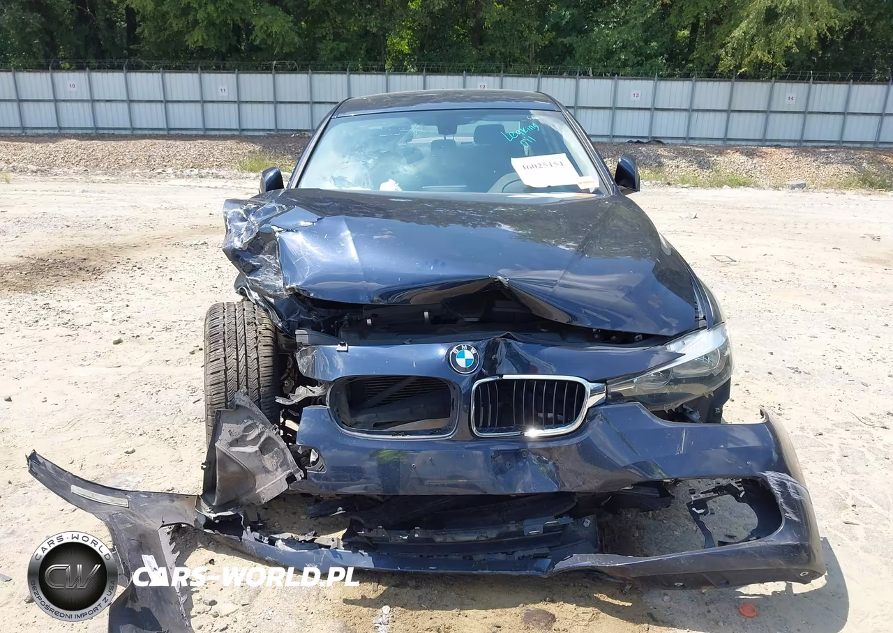 2017 BMW 320I xDrive VIN:WBA8A3C37HK692228 - 12
