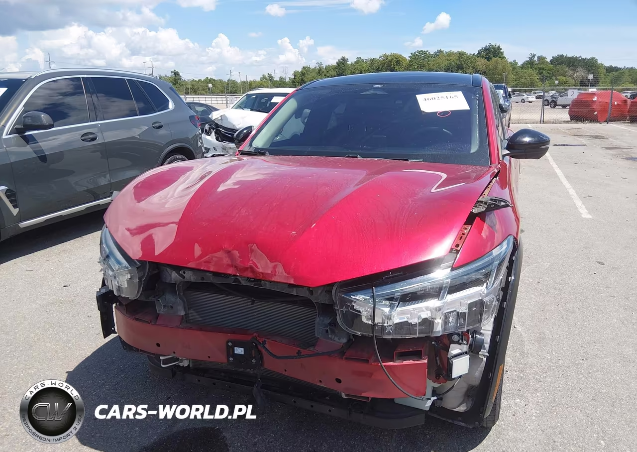 2021 Ford Mustang Mach-E Premium VIN:3FMTK3R70MMA26203 - 12