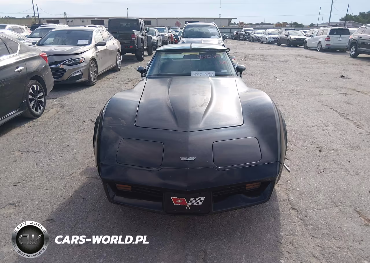 1982 Chevrolet Corvette VIN:1G1AY8780C5121165 - 12
