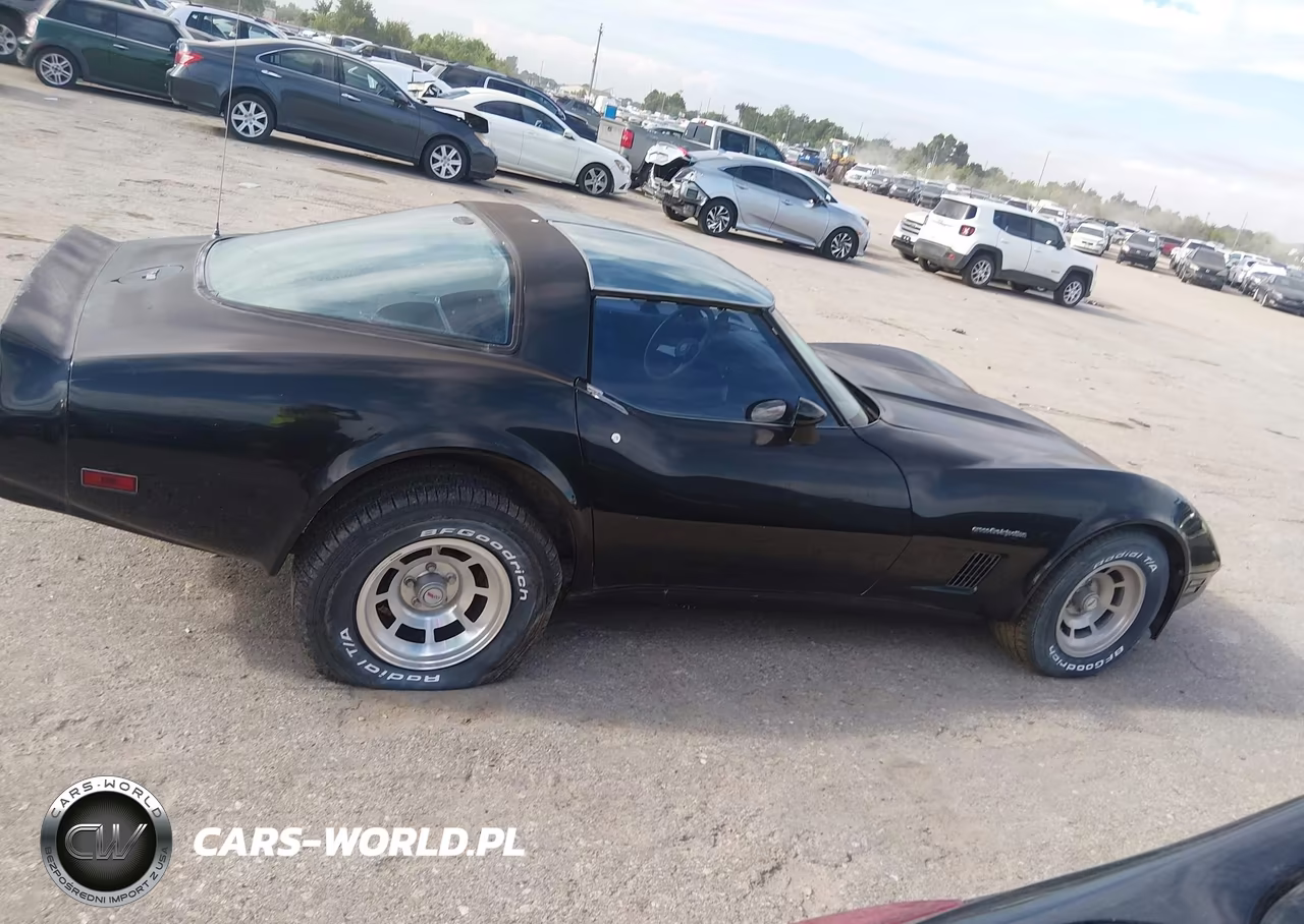 1982 Chevrolet Corvette VIN:1G1AY8780C5121165 - 13