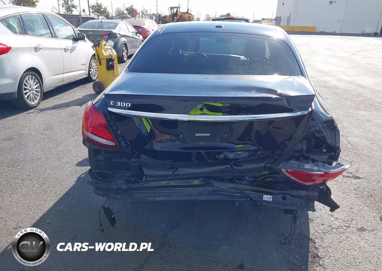 2019 Mercedes-Benz E 300 VIN:WDDZF4JB9KA685566 - 17