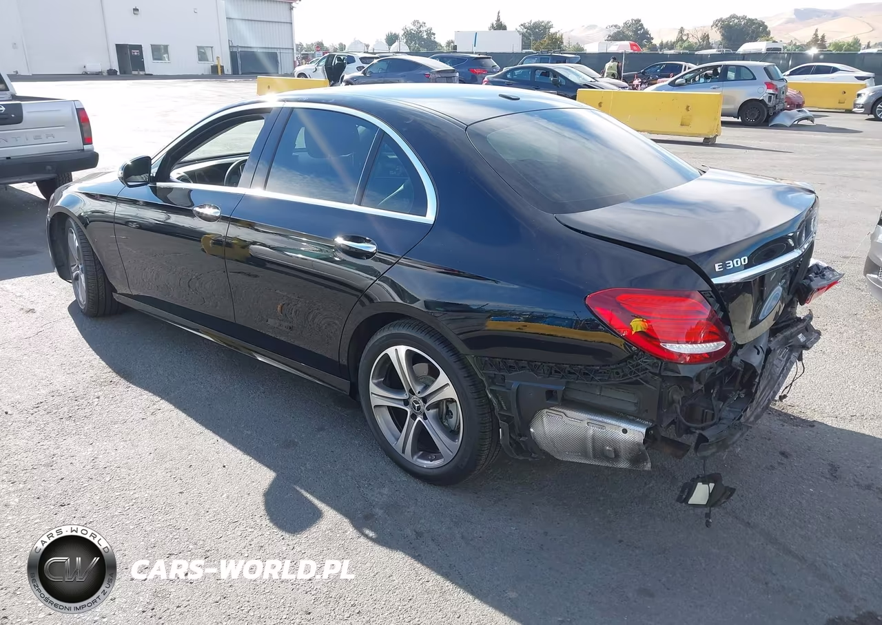 2019 Mercedes-Benz E 300 VIN:WDDZF4JB9KA685566 - 3