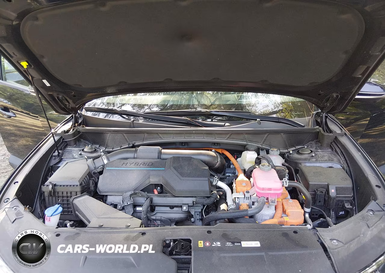 2025 Hyundai Tucson Hybrid Limited VIN:KM8JEDD16SU264847 - 10