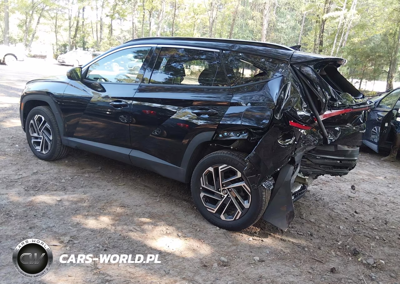 2025 Hyundai Tucson Hybrid Limited VIN:KM8JEDD16SU264847 - 3