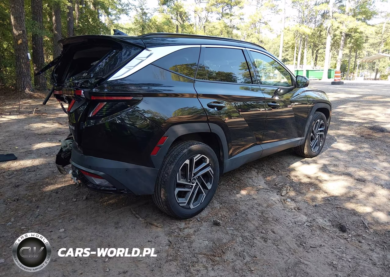 2025 Hyundai Tucson Hybrid Limited VIN:KM8JEDD16SU264847 - 4